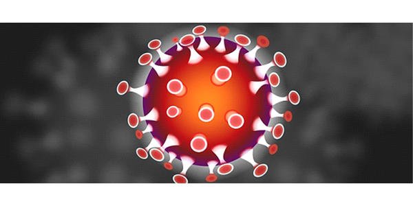 香港單向通關最新消息今天，冀港深發揮“雙引擎”